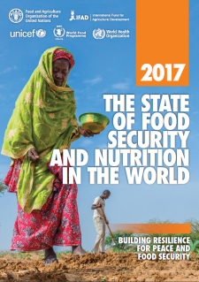 FAO 2017 Food Security Report Cover